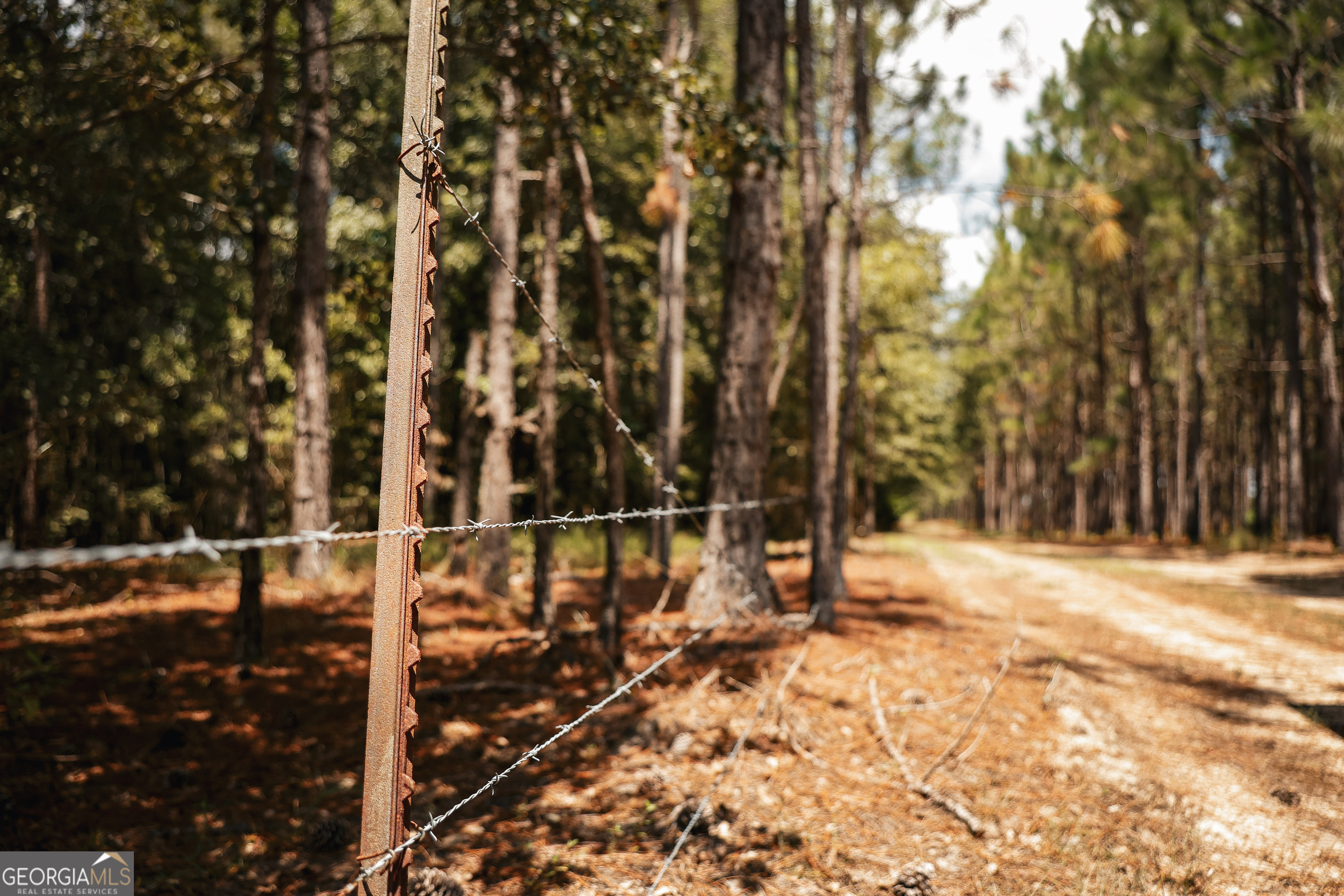 1576 Chula Brookfield Road Tifton, GA 31794 - Photo 52 of 79