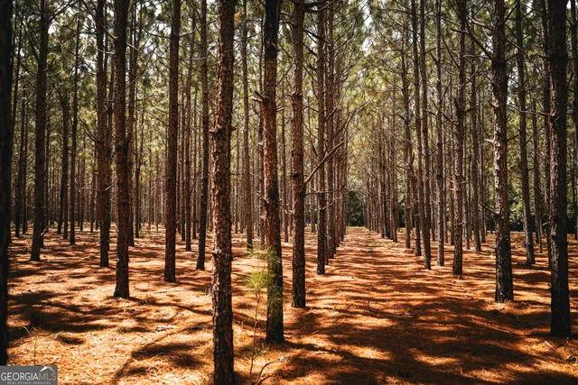 $1,700,000 | 1576 Chula Brookfield Road, Tifton, GA 31794