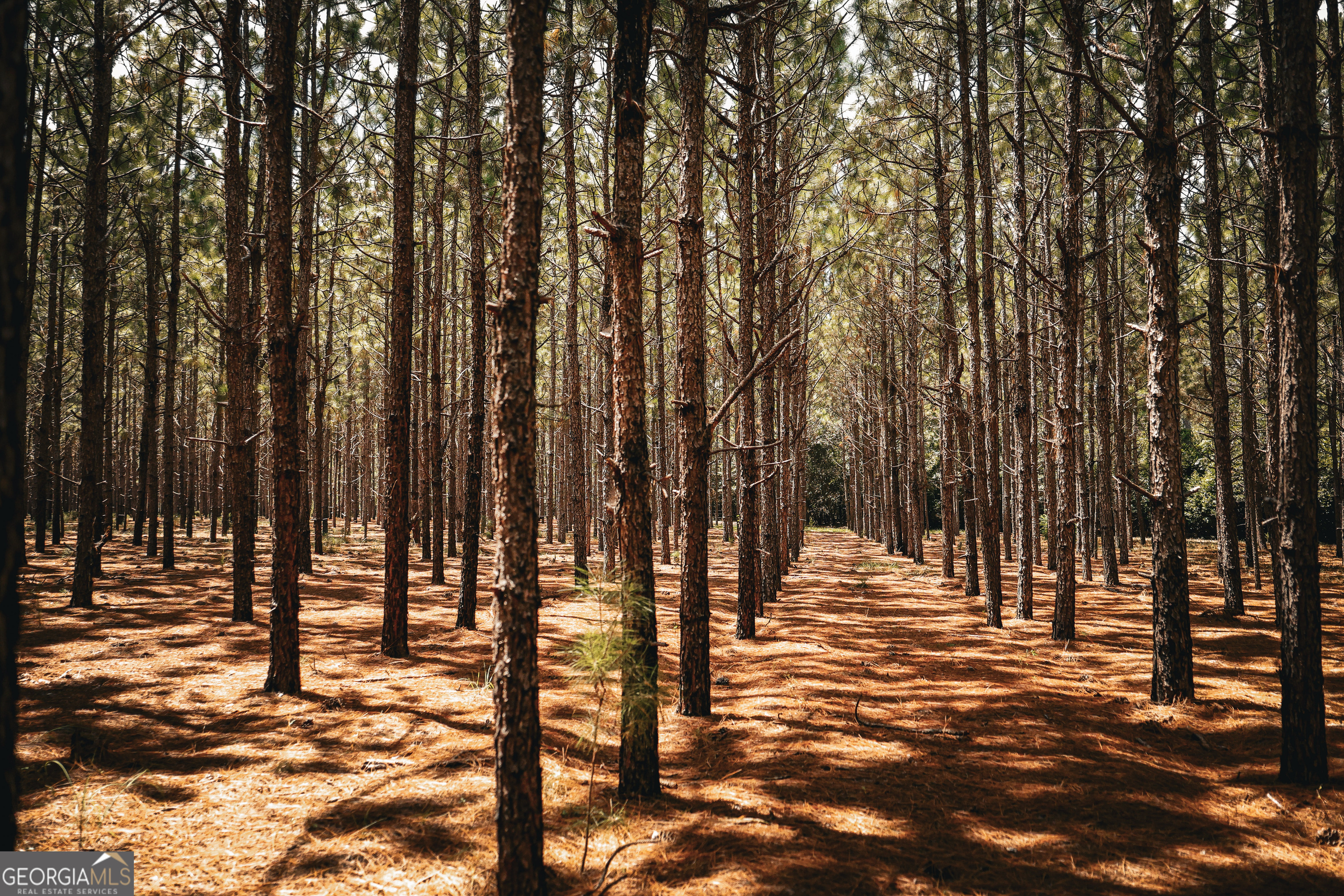 1576 Chula Brookfield Road Tifton, GA 31794 - Photo 53 of 79 a view of outdoor space with deck
