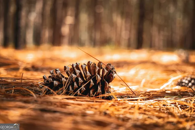 $1,700,000 | 1576 Chula Brookfield Road, Tifton, GA 31794