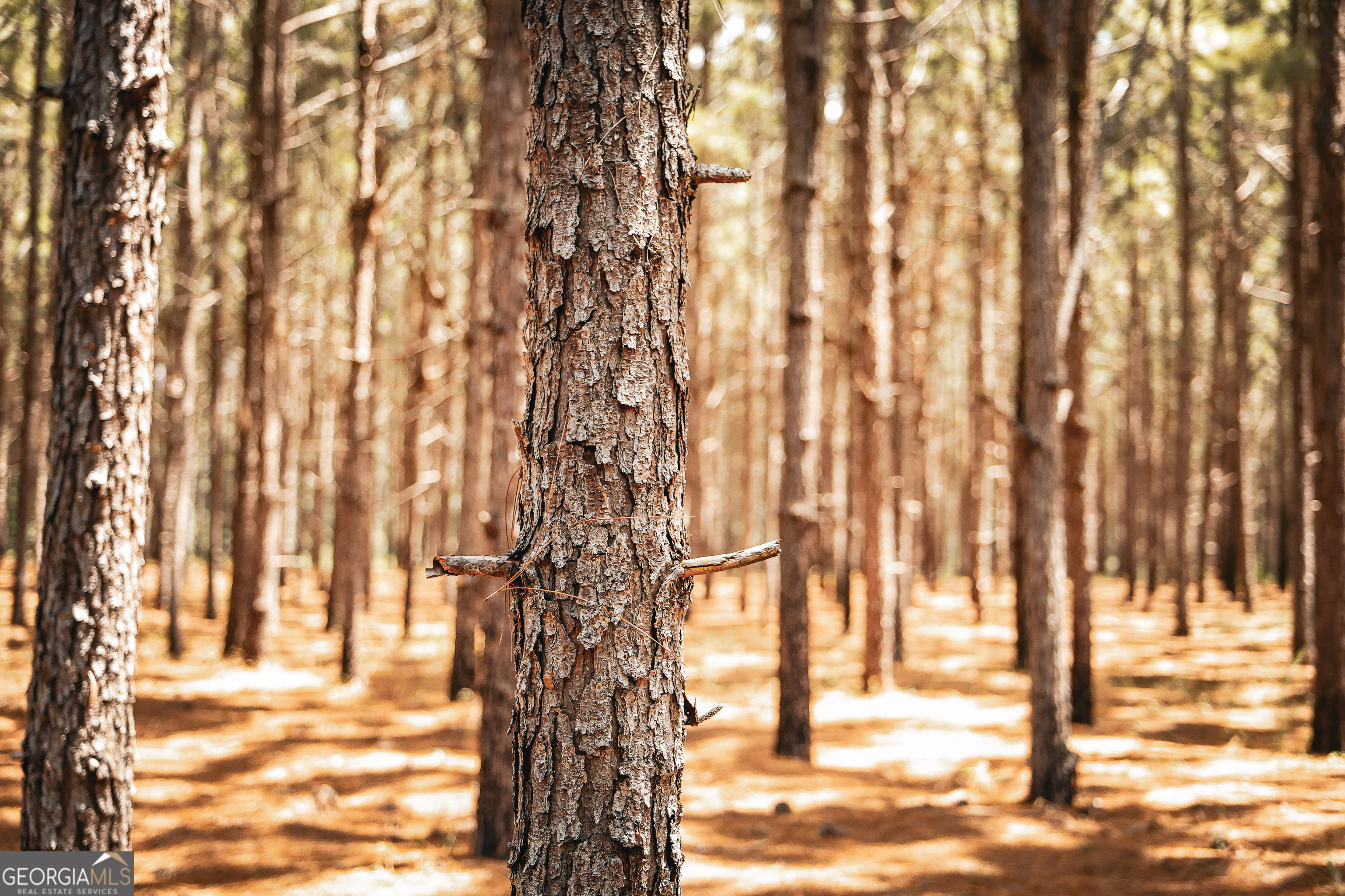 1576 Chula Brookfield Road Tifton, GA 31794 - Photo 56 of 79 a view of outdoor space with seating area