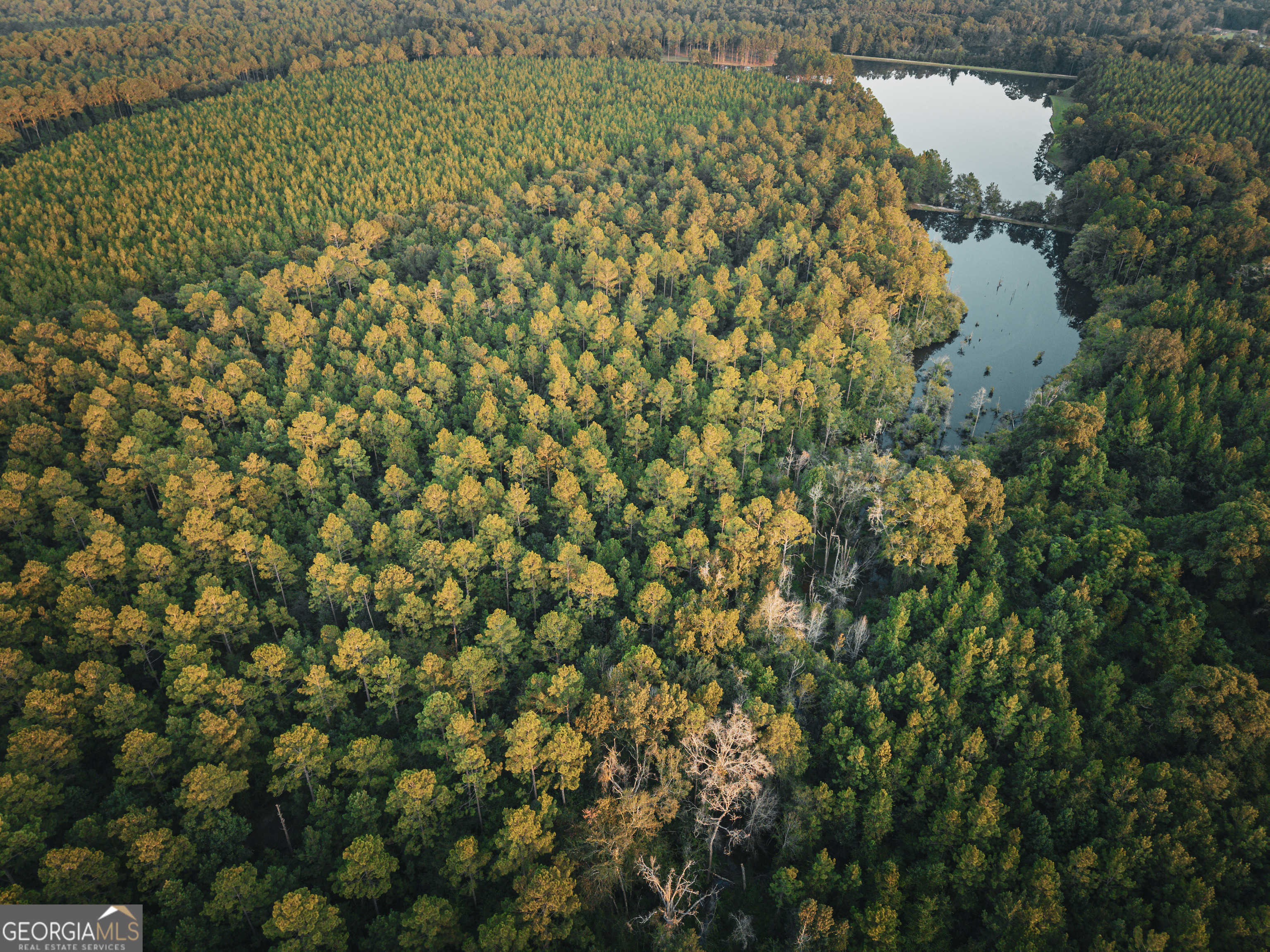 1576 Chula Brookfield Road Tifton, GA 31794 - Photo 58 of 79 a view of a lake with a tree