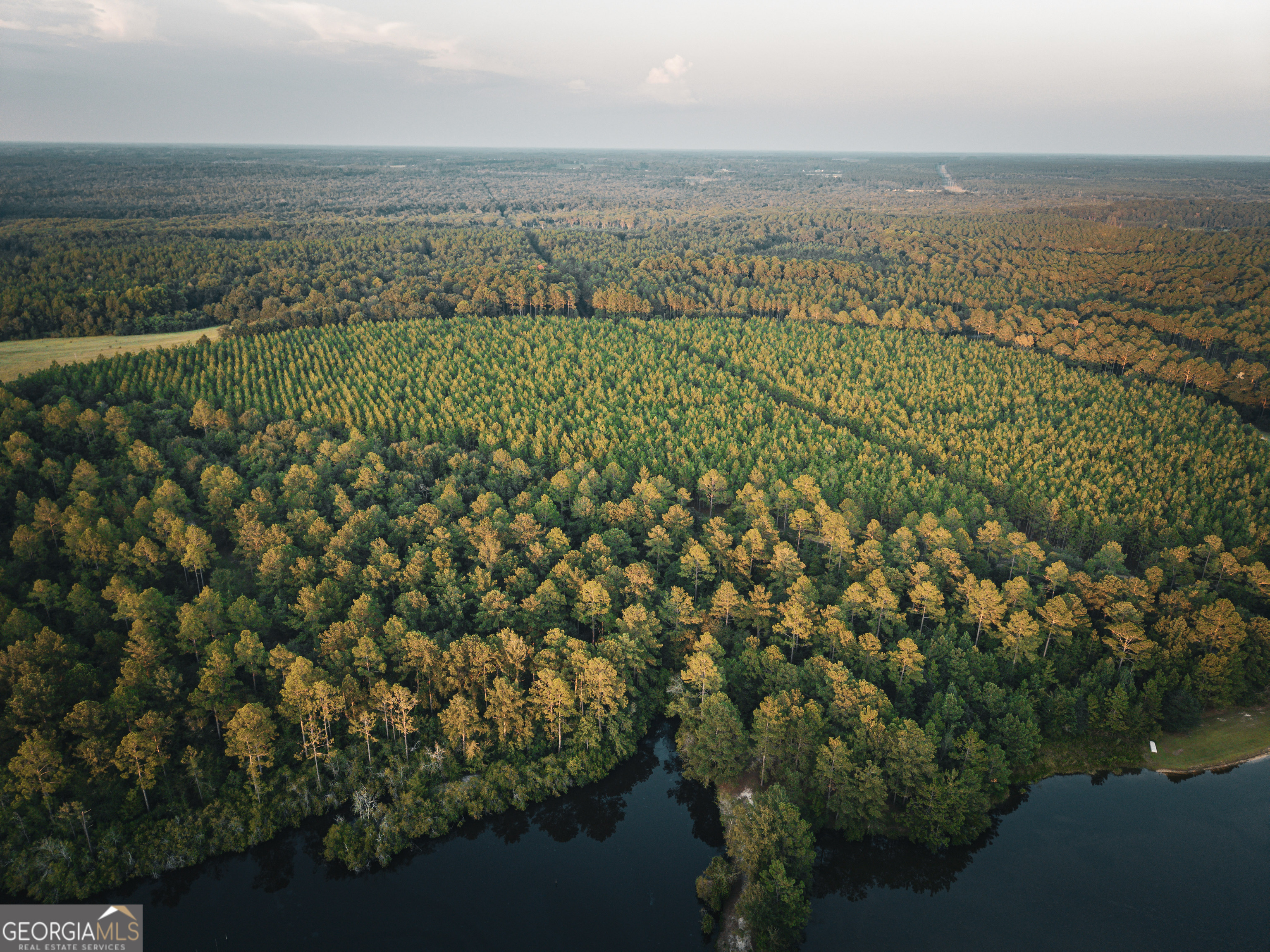 1576 Chula Brookfield Road Tifton, GA 31794 - Photo 59 of 79 a view of a city