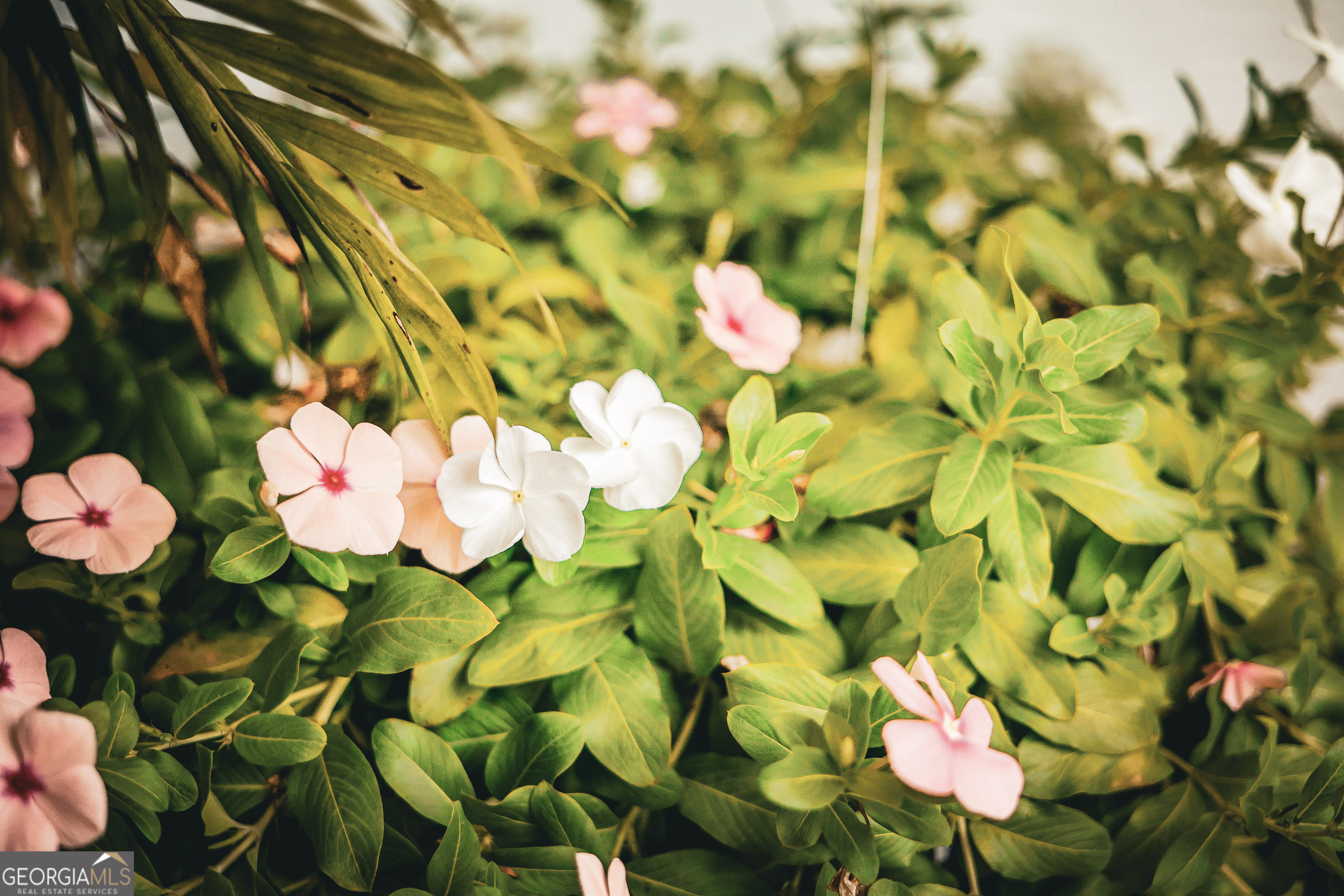 1576 Chula Brookfield Road Tifton, GA 31794 - Photo 6 of 79