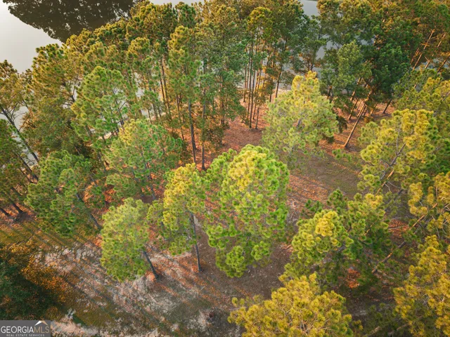 $1,700,000 | 1576 Chula Brookfield Road, Tifton, GA 31794