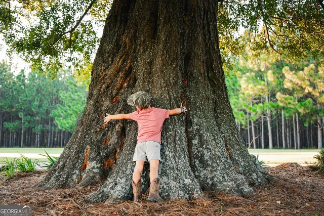 a view of balcony with furniture