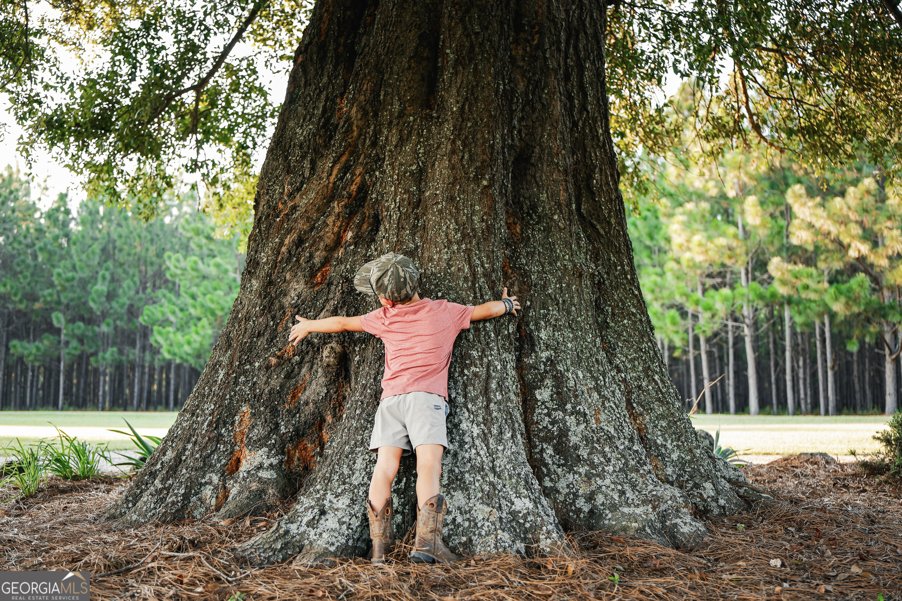 1576 Chula Brookfield Road Tifton, GA 31794 - Photo 8 of 79 a view of a yard with plants and a tree