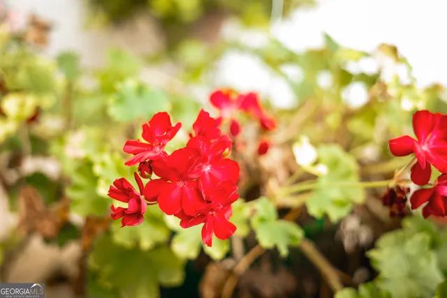 a view of small space