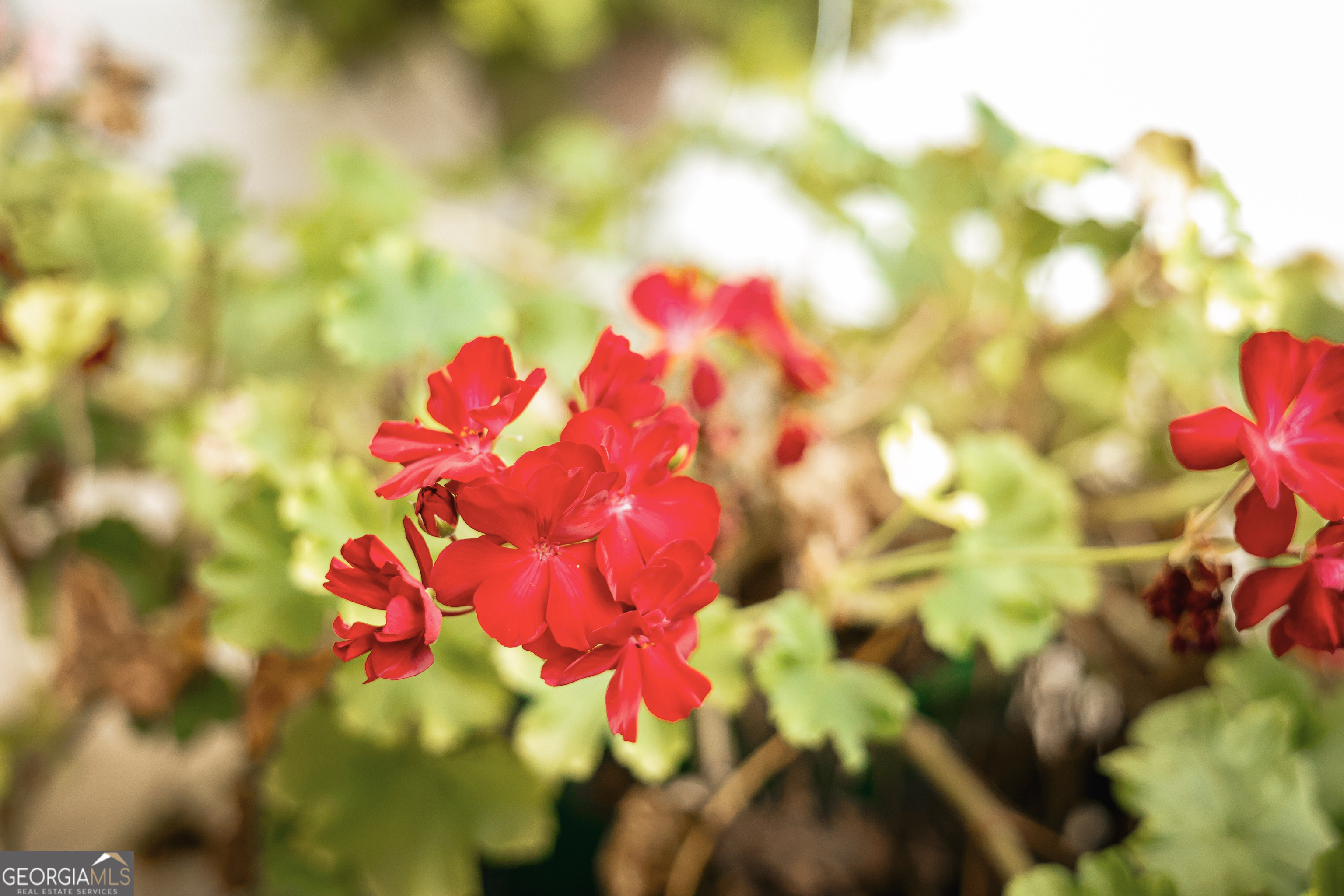 1576 Chula Brookfield Road Tifton, GA 31794 - Photo 9 of 79 a view of a small
