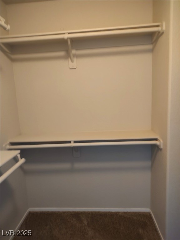 2223 Rugged Mesa Drive Laughlin, NV 89029 - Photo 18 of 28 Spacious closet with carpet flooring