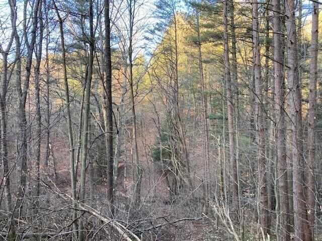 0 Kreashbaum Road Rockbridge, OH 43149 - Photo 5 of 20 Hiking area - Copy