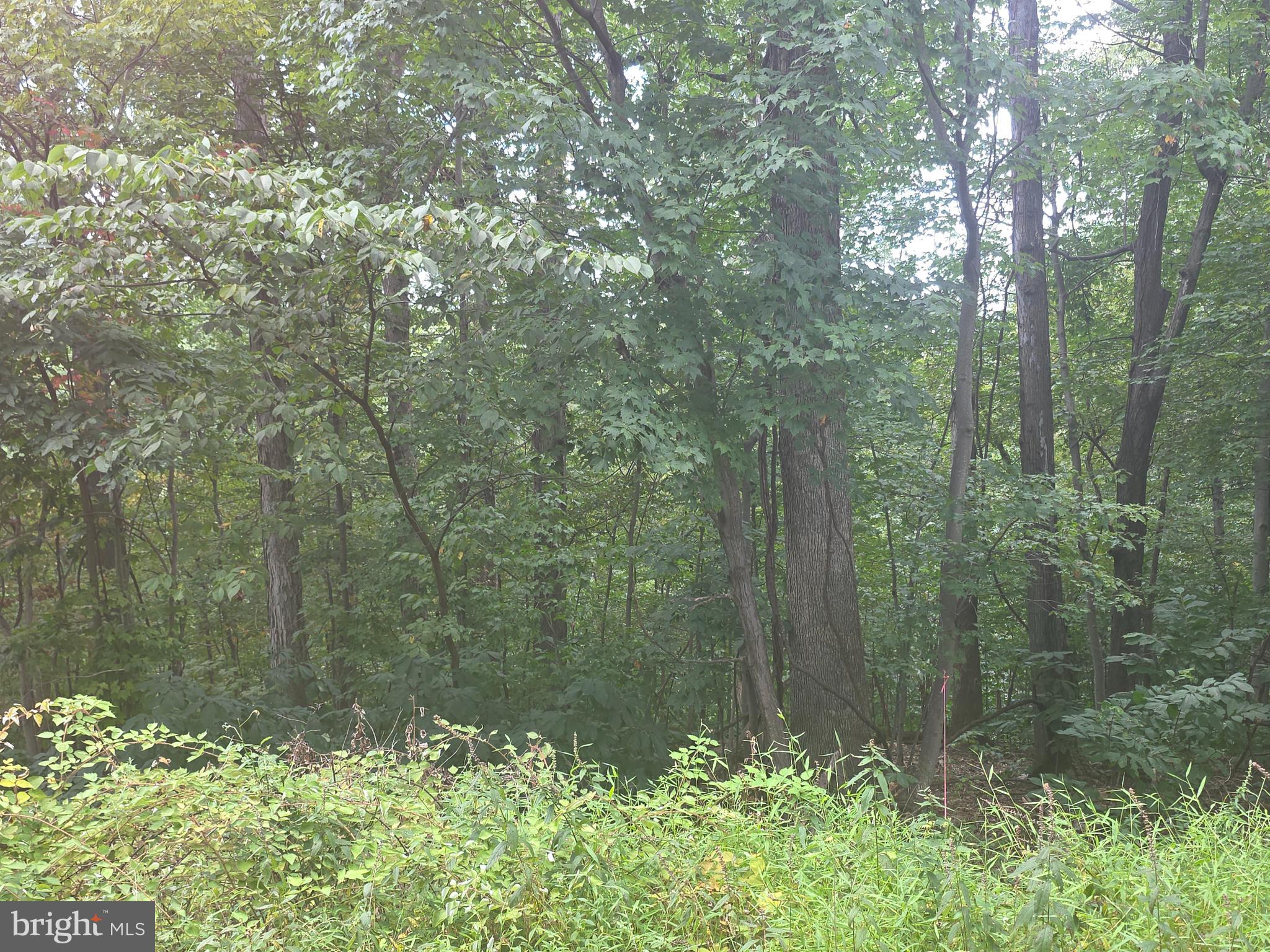Cherrywood Road Front Royal, VA 22630 - Photo 1 of 2 Gallery Image 1