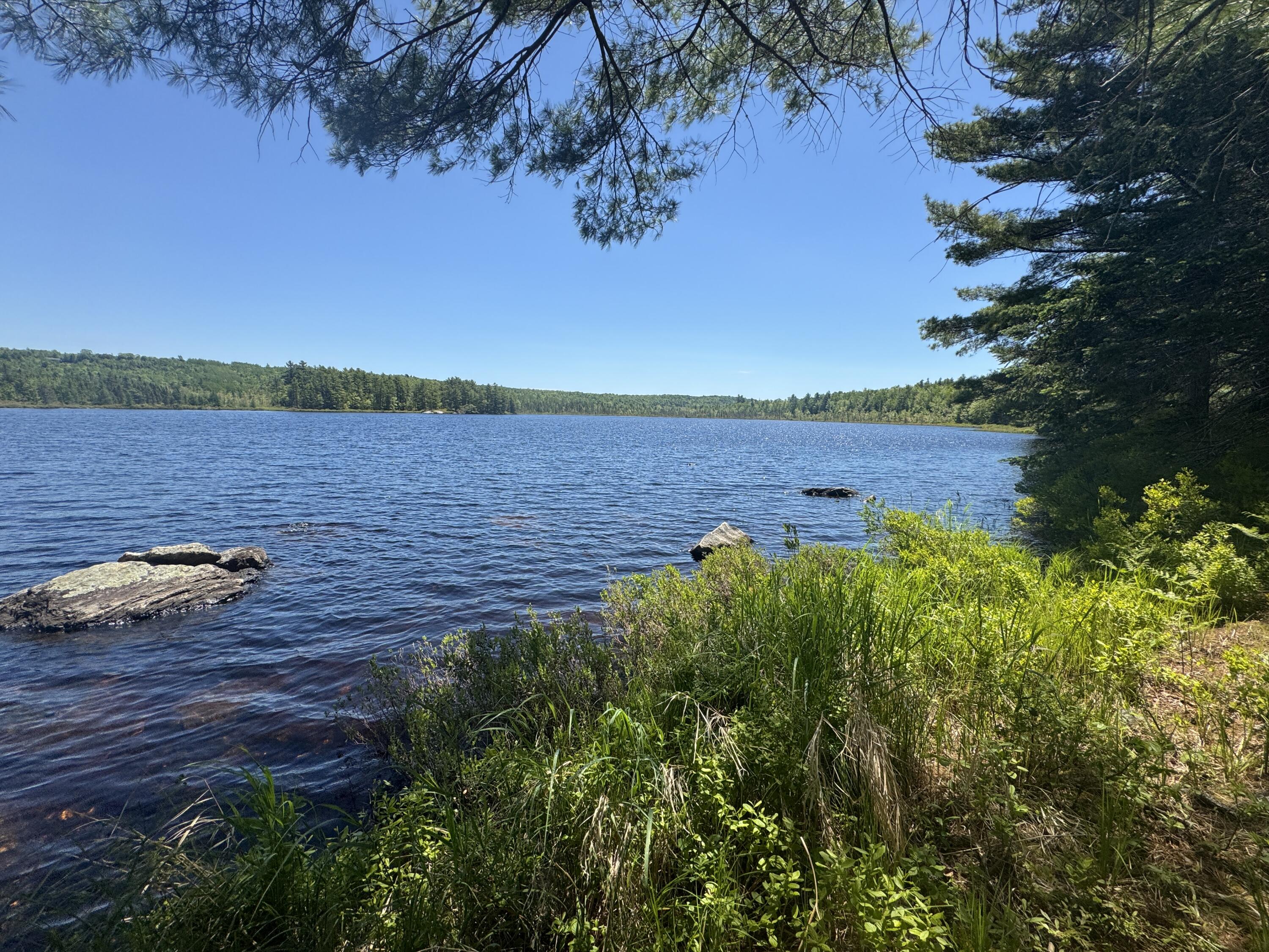 Lot# Bucksmills Road Bucksport, ME 04416 - Photo 5 of 15 IMG_3889