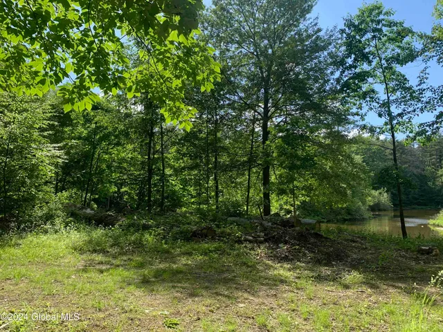 $238,800 | L14 Eagle Nest Road, Earlton, NY 12058