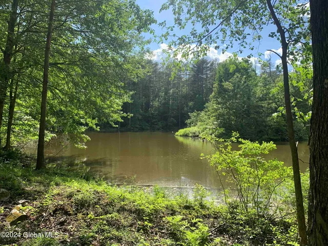 $238,800 | L14 Eagle Nest Road, Earlton, NY 12058