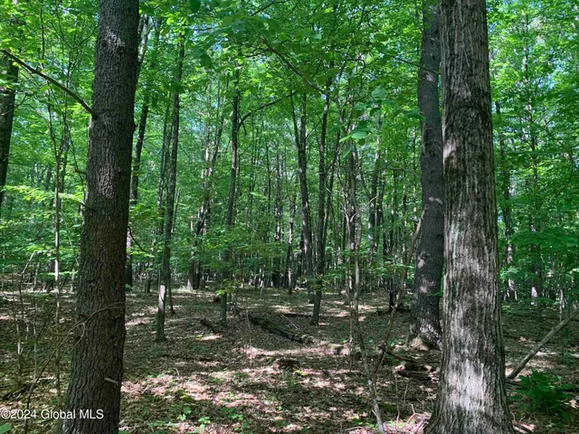 $238,800 | L14 Eagle Nest Road, Earlton, NY 12058