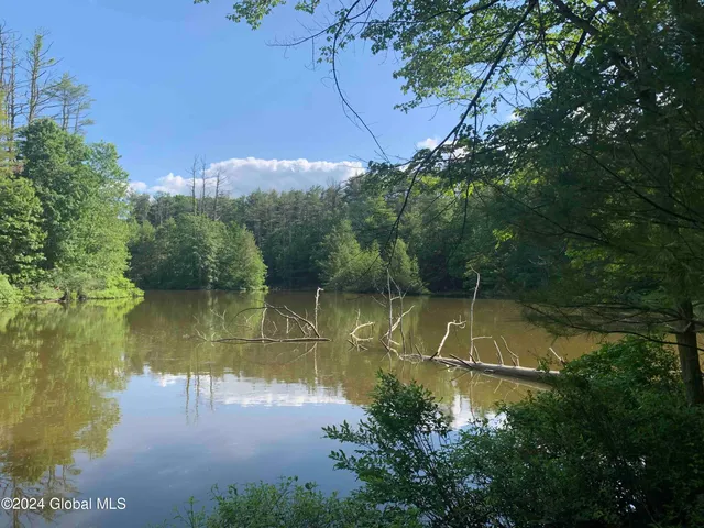 $238,800 | L14 Eagle Nest Road, Earlton, NY 12058