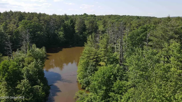 $238,800 | L14 Eagle Nest Road, Earlton, NY 12058