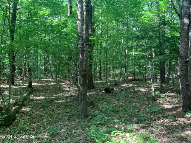 $238,800 | L14 Eagle Nest Road, Earlton, NY 12058