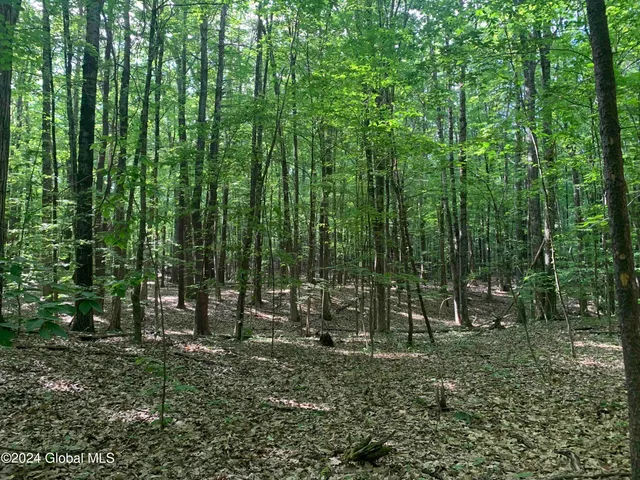 $238,800 | L14 Eagle Nest Road, Earlton, NY 12058