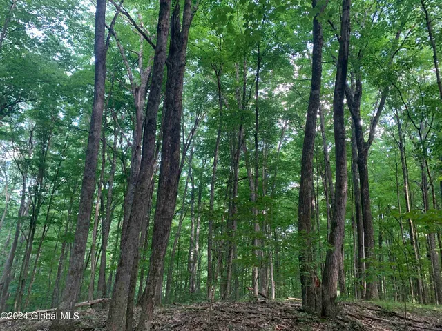 $238,800 | L14 Eagle Nest Road, Earlton, NY 12058