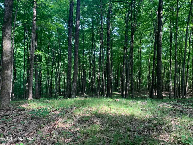 $238,800 | L14 Eagle Nest Road, Earlton, NY 12058