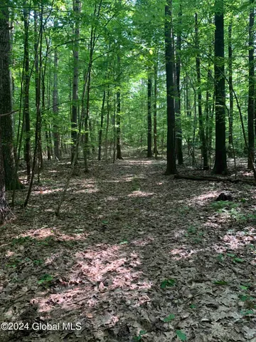 $238,800 | L14 Eagle Nest Road, Earlton, NY 12058