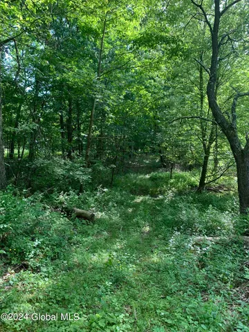 $238,800 | L14 Eagle Nest Road, Earlton, NY 12058