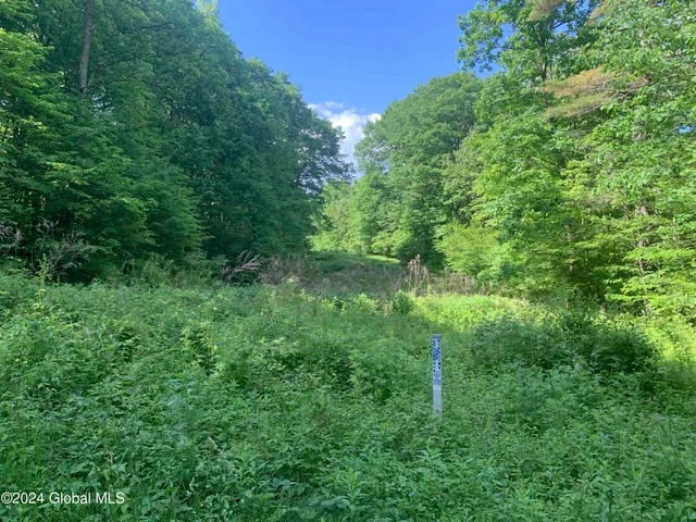 $238,800 | L14 Eagle Nest Road, Earlton, NY 12058