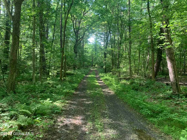 $238,800 | L14 Eagle Nest Road, Earlton, NY 12058