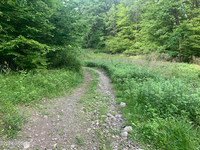 $238,800 | L14 Eagle Nest Road, Earlton, NY 12058