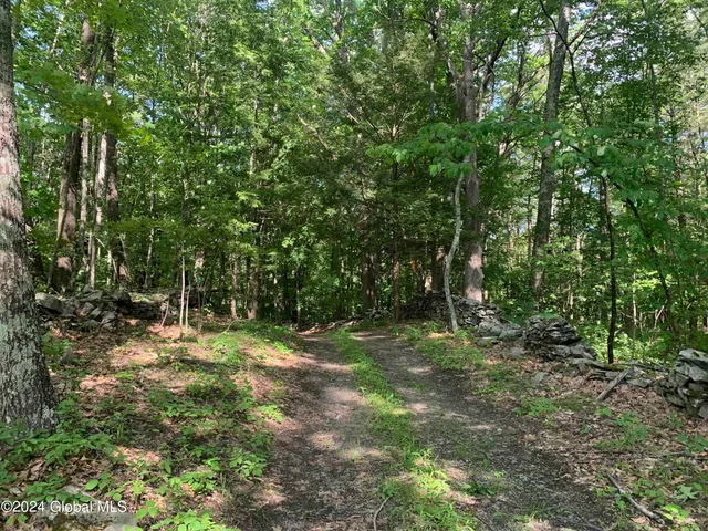 $238,800 | L14 Eagle Nest Road, Earlton, NY 12058