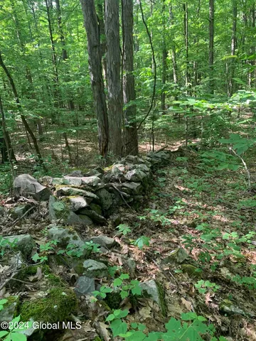 $238,800 | L14 Eagle Nest Road, Earlton, NY 12058