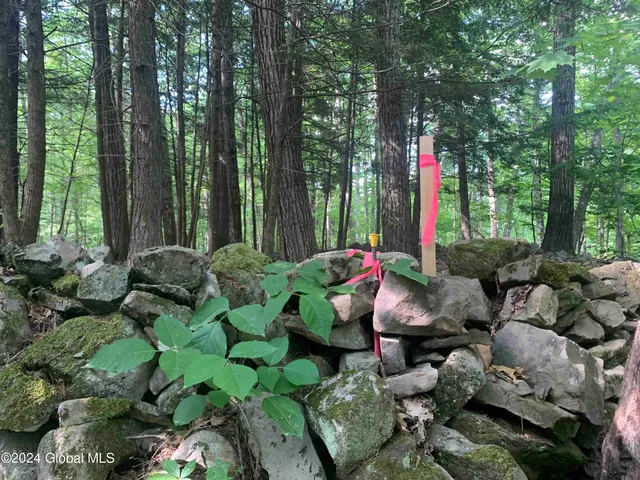 $238,800 | L14 Eagle Nest Road, Earlton, NY 12058