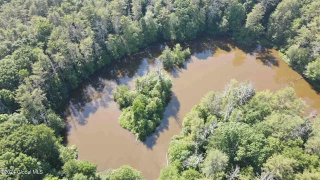 $238,800 | L14 Eagle Nest Road, Earlton, NY 12058