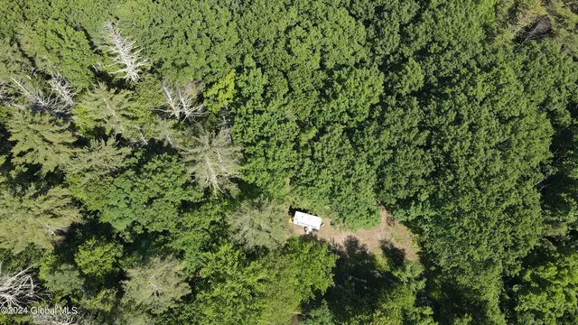 $238,800 | L14 Eagle Nest Road, Earlton, NY 12058