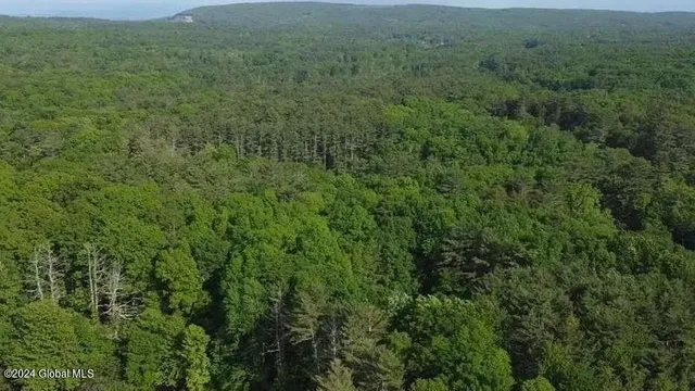 $238,800 | L14 Eagle Nest Road, Earlton, NY 12058