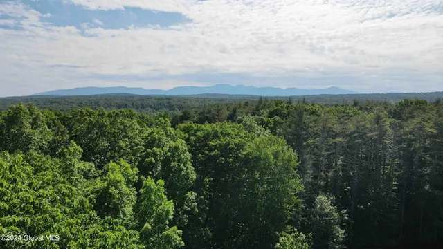 $238,800 | L14 Eagle Nest Road, Earlton, NY 12058