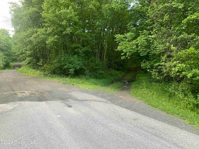 $238,800 | L14 Eagle Nest Road, Earlton, NY 12058