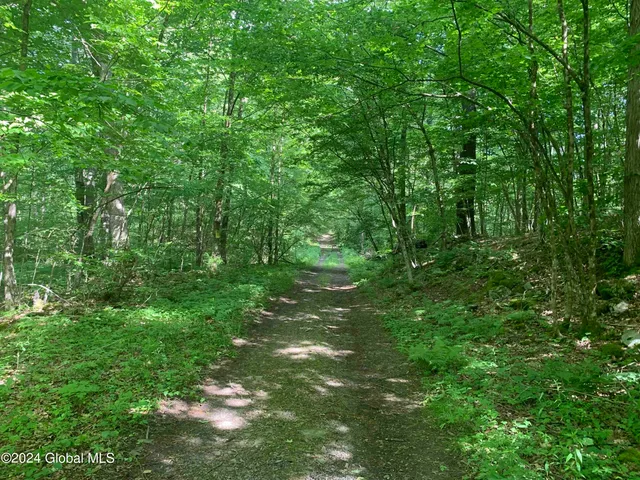 $238,800 | L14 Eagle Nest Road, Earlton, NY 12058