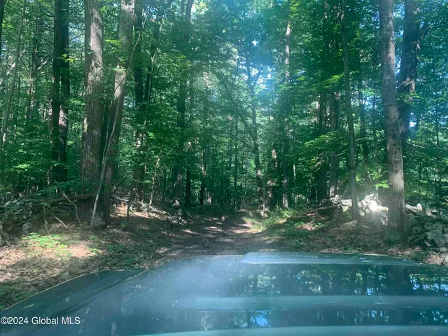 $238,800 | L14 Eagle Nest Road, Earlton, NY 12058