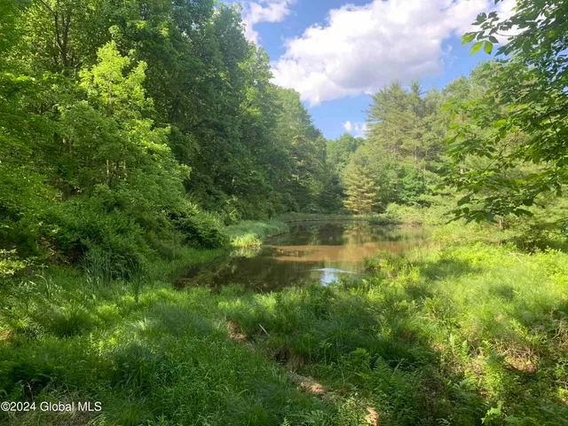 $238,800 | L14 Eagle Nest Road, Earlton, NY 12058