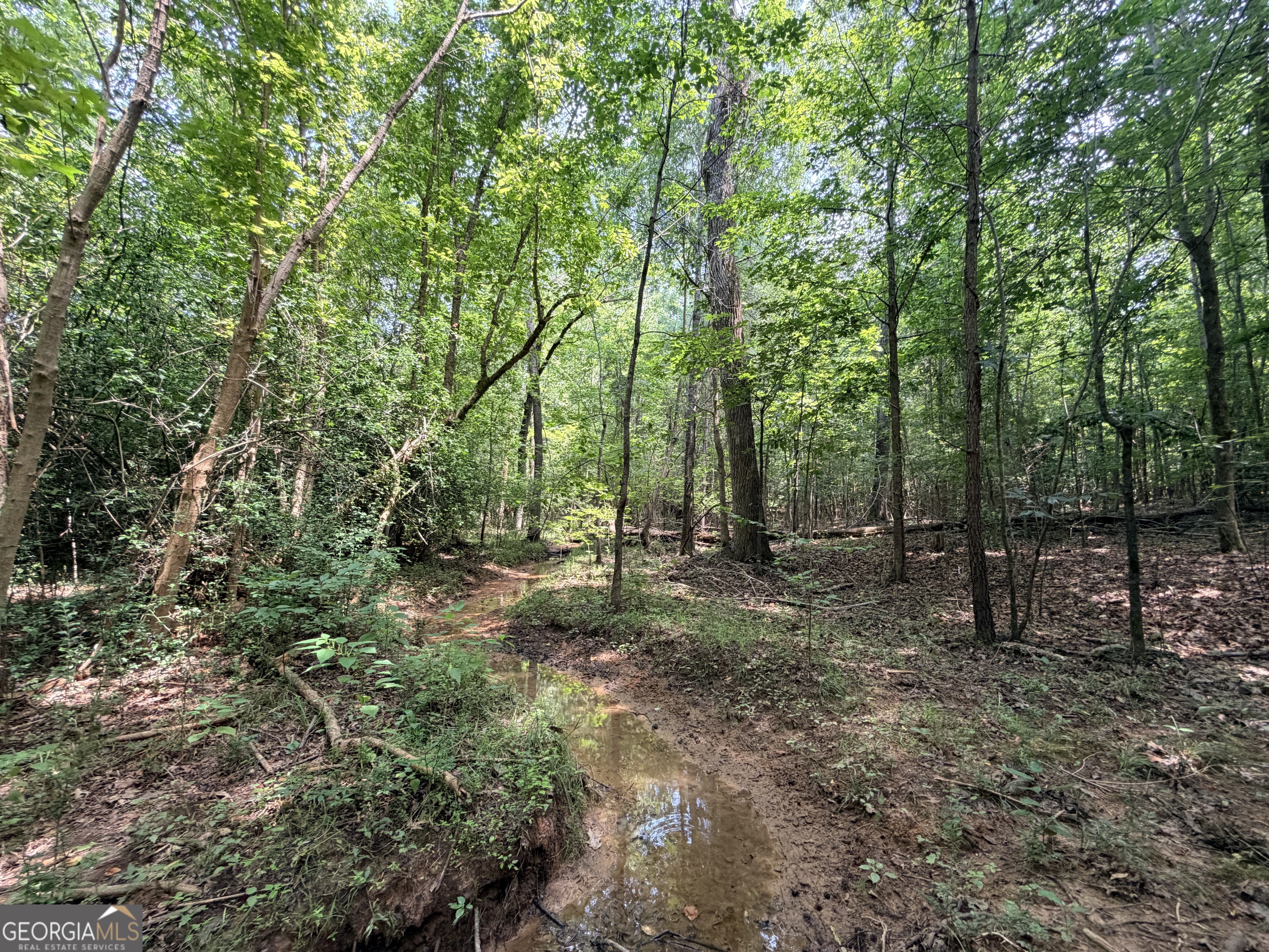 2 Mallorysville Road Tignall, GA 30668 - Photo 24 of 44 Gallery Image 24