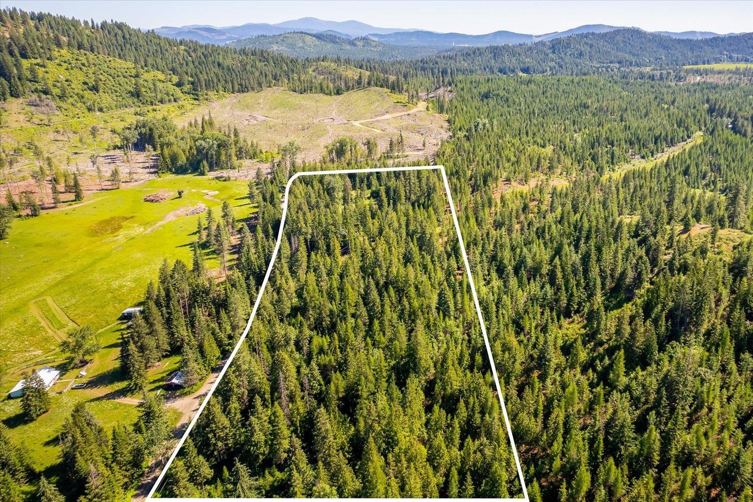 571 Clarks Road Newport, WA 99156 - Photo 26 of 32