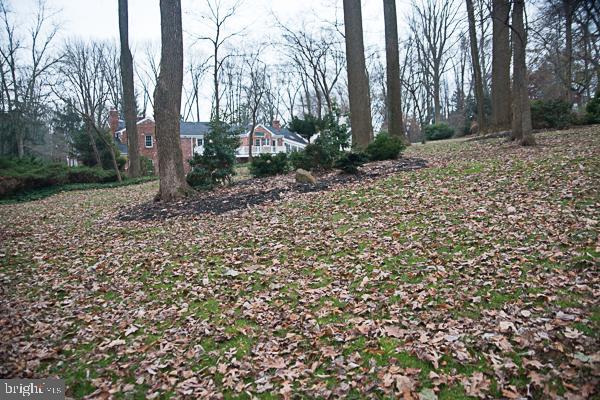 118 Jaffrey Road Malvern, PA 19355 - Photo 9 of 48 Backyard