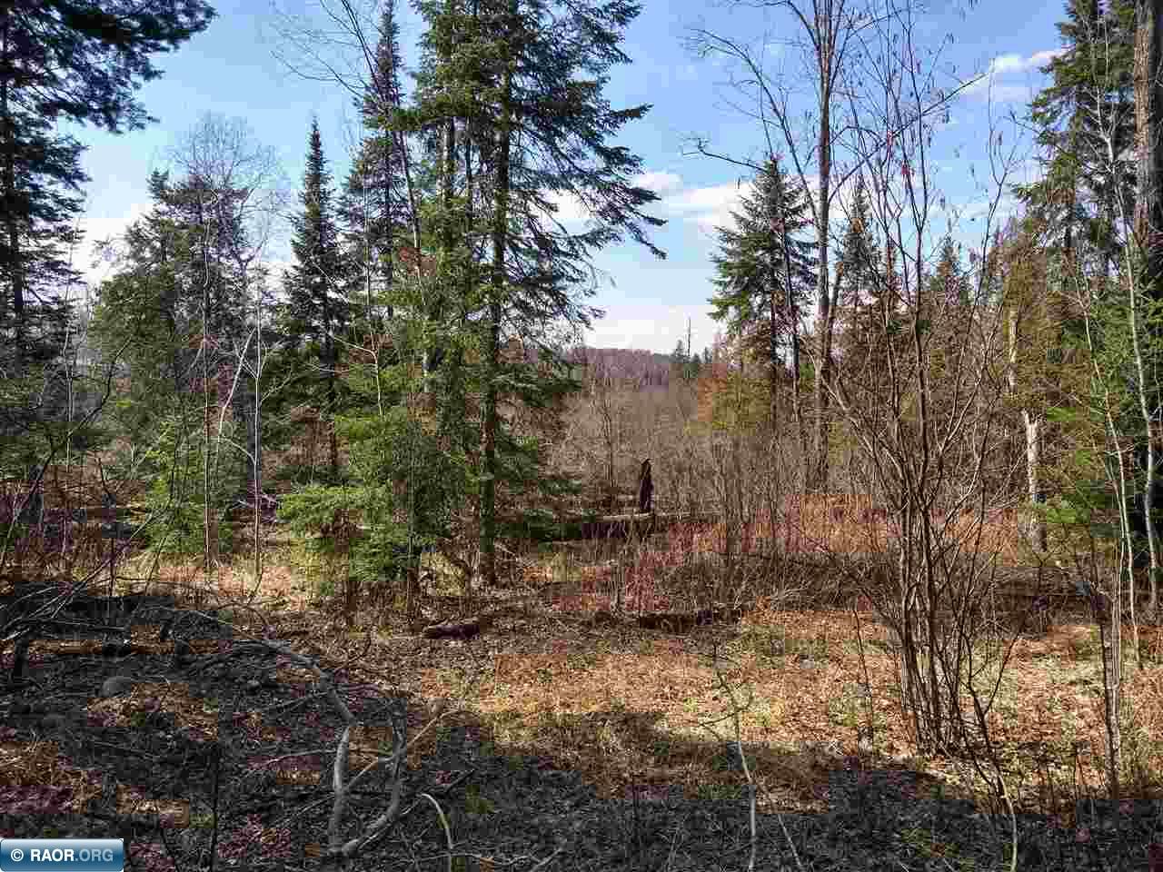Tbd Public Acc Road Eveleth, MN 55734 - Photo 3 of 7