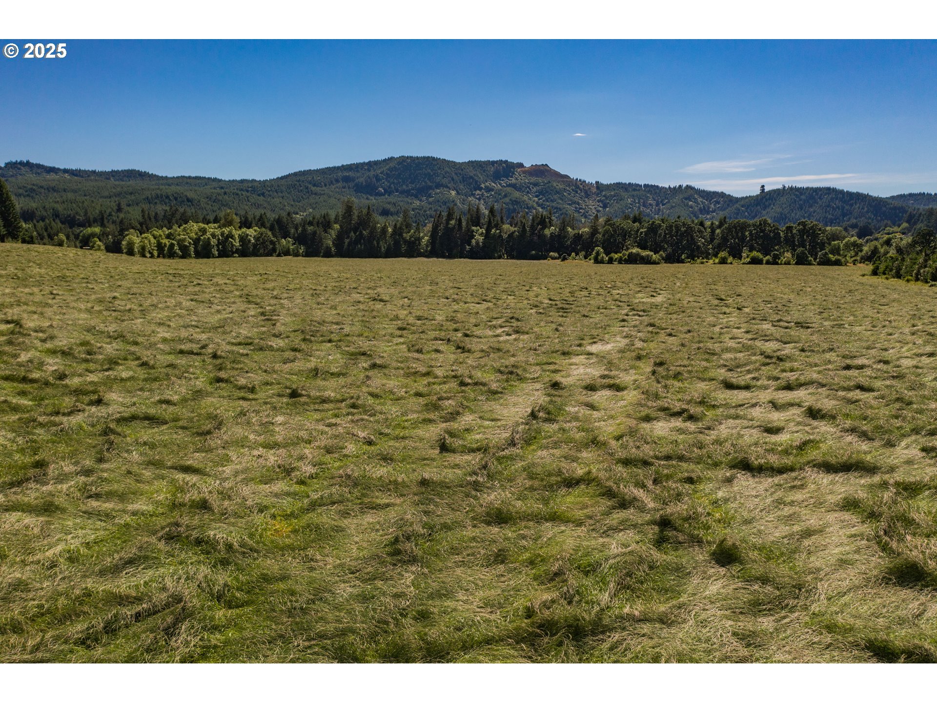 23380 Hoskins Road Philomath, OR 97370 - Photo 1 of 12 a view of lake with mountain