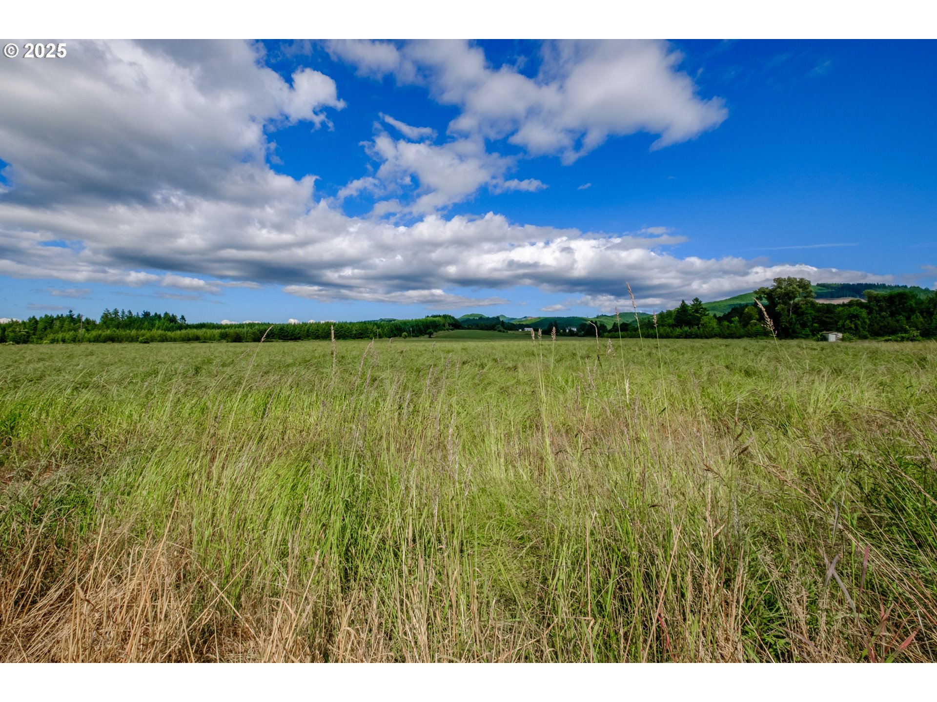 23380 Hoskins Road Philomath, OR 97370 - Photo 11 of 12 a view of a lake with a house in the background