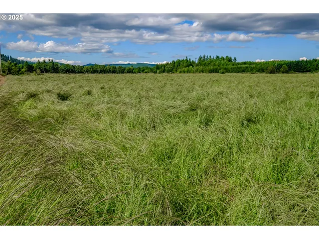 $1,350,000 | 23380 Hoskins Road, Philomath, OR 97370