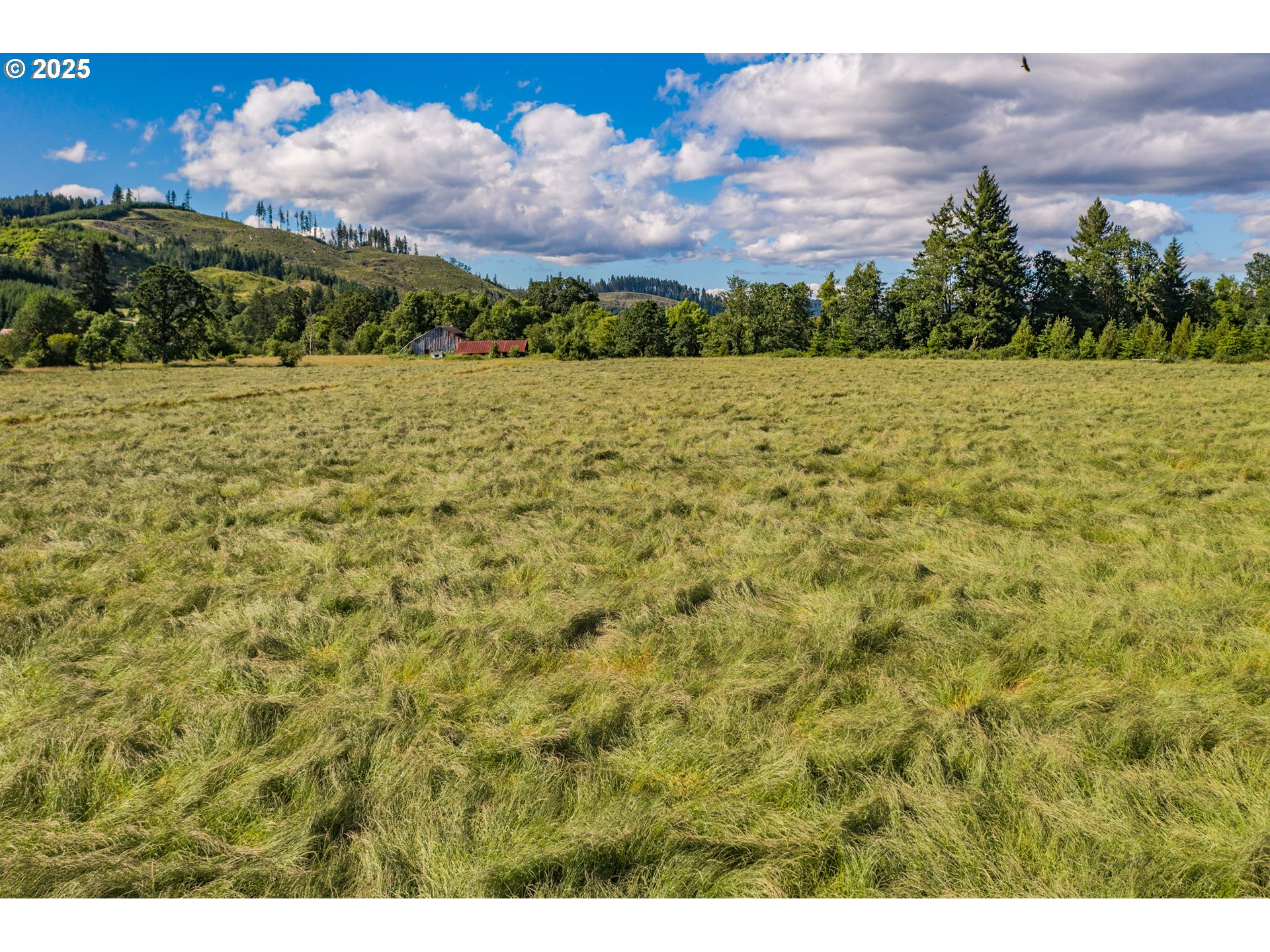 23380 Hoskins Road Philomath, OR 97370 - Photo 2 of 12 a view of a yard with a tree